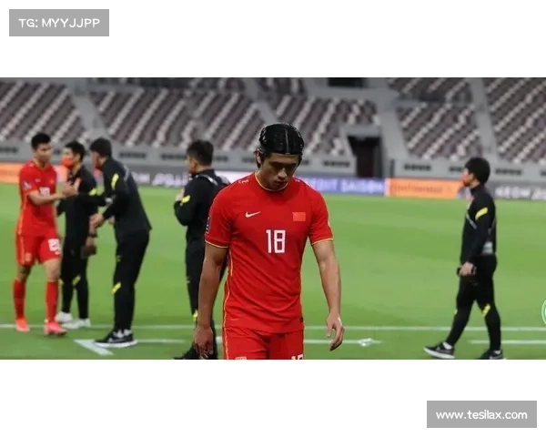 建业足球俱乐部性质探析及其在中国足球发展中的定位与作用